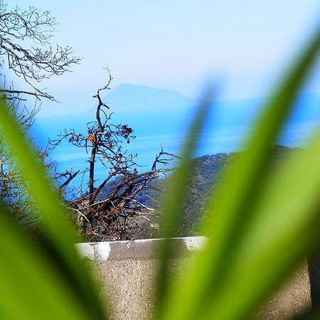 Bed and Breakfast Al Fakhar Ficarra Exterior foto