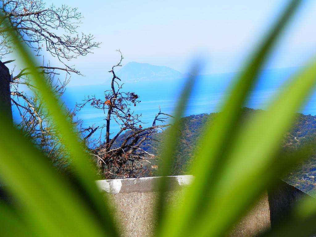 Bed and Breakfast Al Fakhar Ficarra Exterior foto