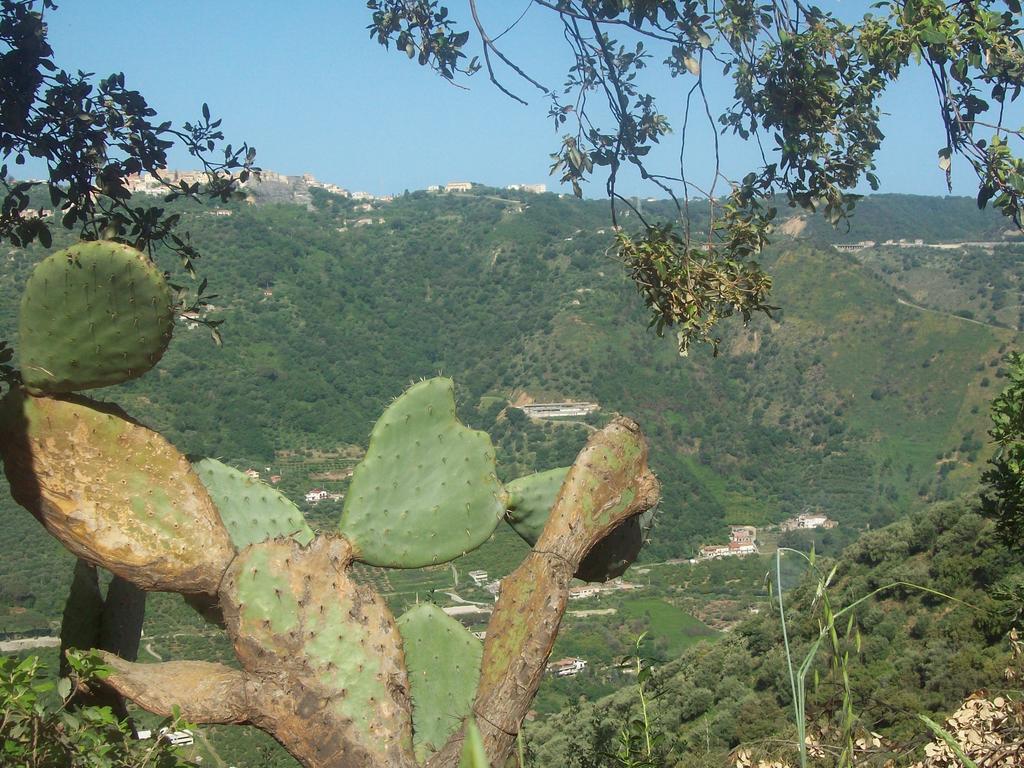 Bed and Breakfast Al Fakhar Ficarra Exterior foto